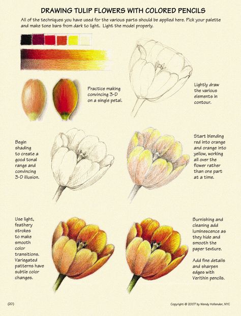 Hur Man Ritar Blommor, Draw Plants, Planting Tips, Colored Pencil Tutorial, Pencil Drawing Tutorials, Flower Drawing Tutorials, Coloring Tips, Illustration Botanique, Colored Pencil Techniques