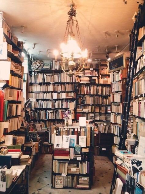 15 Beautifully Messy Bookshelves Books On Shelves, Lots Of Books, Messy Nessy Chic, Dream Library, Chic Holiday, Holiday Books, Book List, The Ceiling, Home Library