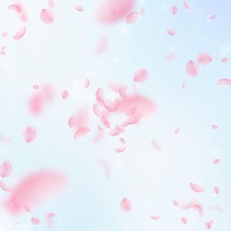 Photo sakura petals falling down. romant... | Premium Photo #Freepik #photo #falling-petals #rose-petals #flower-petals #petals Flower Petal Background, Sakura Petals Falling, Floating Petals, Petals Falling, Sakura Petals, Falling Petals, Background Love, Square Background, Classy Wedding Invitations