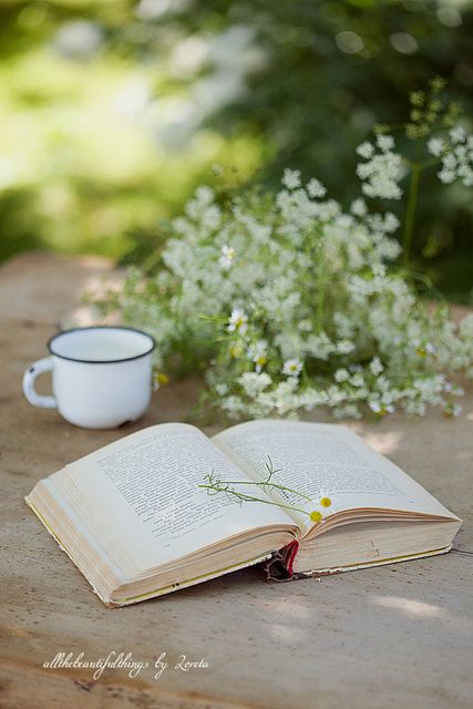 ♥ | Flickr - Photo Sharing! An Open Book, Tea And Books, Book Flowers, Queen Annes Lace, Trik Fotografi, World Of Books, Coffee And Books, Open Book, Love Books