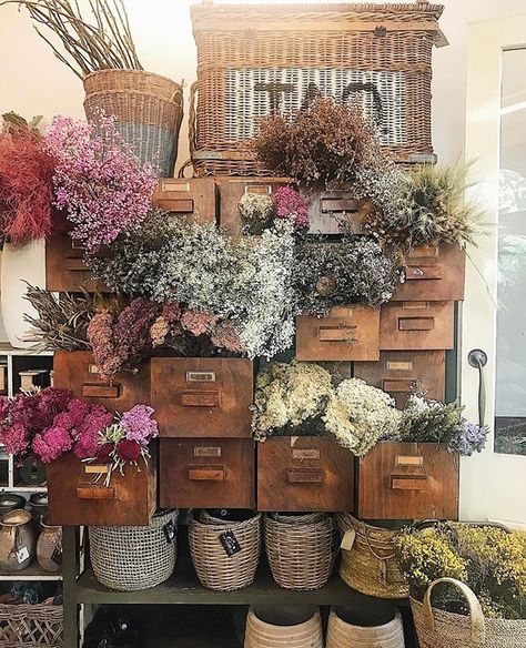 Drawers of dried flowers at the beautiful The Flower Bar Bangalow @theflowerbarbangalow2479 captured by 📷@meg_eva #flowerdisplay… Lizard Brain, Tall Vase Arrangements, Apothecary Decor, Plant Friends, Flower Cafe, Hanging Herbs, Shop Displays, Spa Ideas, Boutique Display