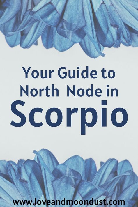 Your Guide to Your North Node in Scorpio in Astrology North Node Scorpio, South Node, North Node, Scorpio Love, Money Blocks, Souls Journey, Astrology Numerology, Moon Rising, Past Lives