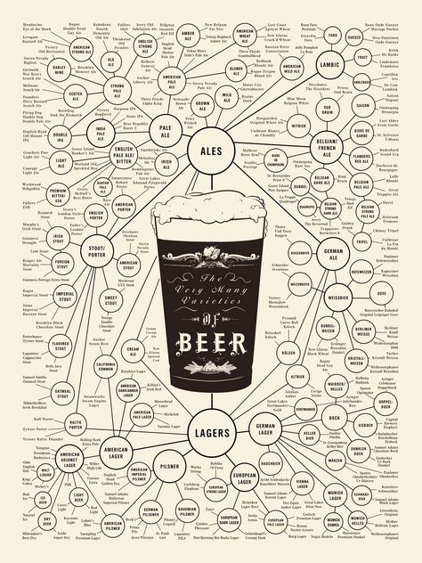 A family tree of beer. Beer Chart, Beer Infographic, Beer Map, Beer Types, Beer Guide, Pop Chart, Beer Poster, Type Posters, Simple Graphic