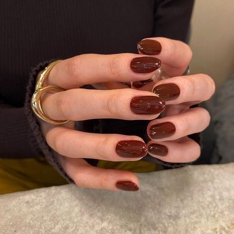 Brown Nail, Casual Nails, Brown Nails, Funky Nails, Chic Nails, 가을 패션, Gel Manicure, Nail Trends, Winter Nails