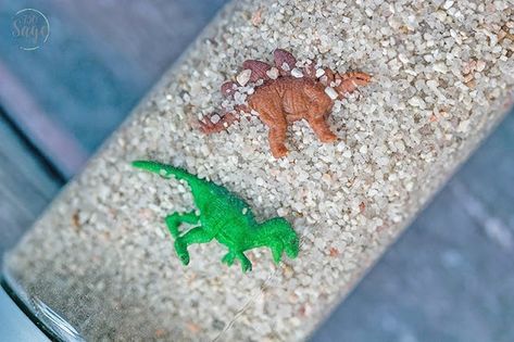 Dinosaur Sensory Bottles, Sensory Bottles For Toddlers, Calm Down Jar, Calm Down Bottle, Color Sorting Activities, Sensory Wall, Discovery Bottles, Kids Craft Room, Sensory Crafts