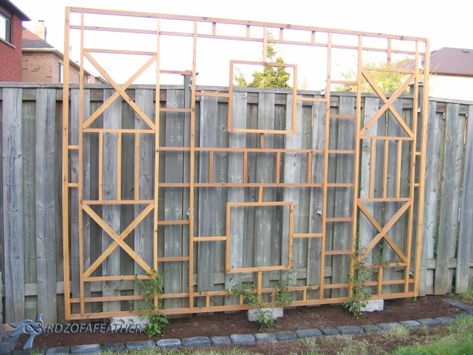 Outdoor Privacy Screen Ideas - Birdz of a Feather Building A Trellis, Yard Privacy, Diy Garden Trellis, Trellis Ideas, Diy Trellis, Backyard Privacy, Garden Vines, Privacy Fences, Privacy Screen Outdoor