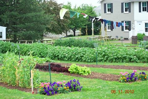 Beautiful  amish garden with the laundary drying on the line.  And look at the back of the garden there are so many picnic tables lined up in a row, Some celebration is happening here soon, or just has already~ Sarah's Country Kitchen ~ Amish Garden, Amish Home, Amish House, Plain People, Garden Inspo, The Barnyard, Picnic Tables, Garden Layout, Outdoor Landscaping