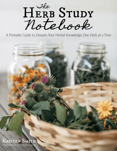 Herbalism Printables, Herbal Study Sheet, Free Herbal Printables, Herbal Organization, Herbalism Notebook, Herbalism Notes, Herb Notebook, Herbal Shelf, Herbal Notebook