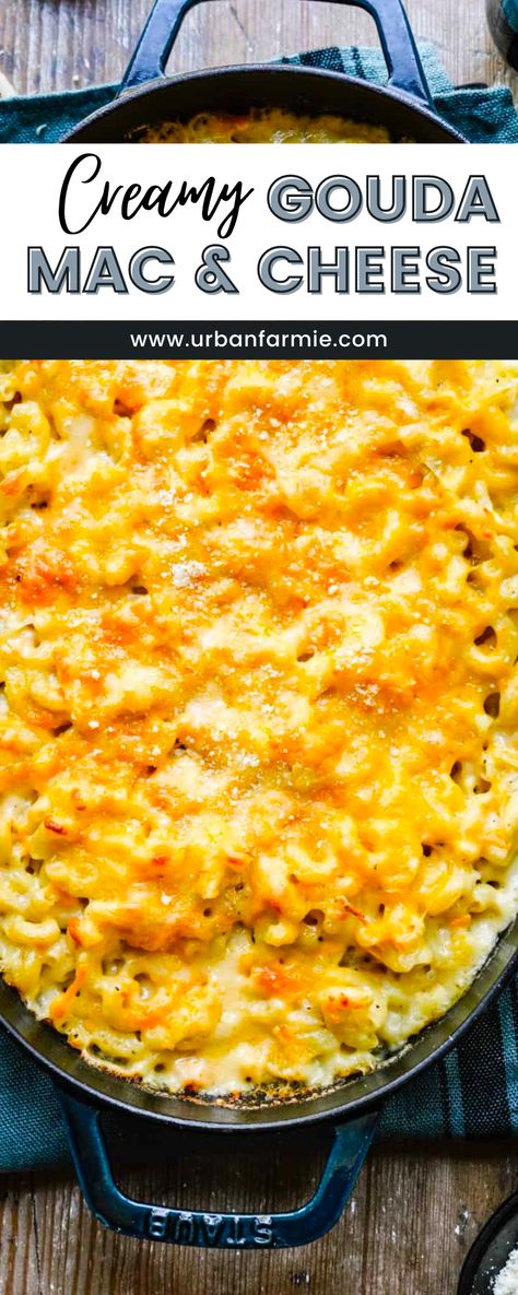 Gouda Sausage Recipe, Healthy Indulgent Meals, Fall Mac And Cheese Recipe, 7 Cheese Mac And Cheese, Gouda Mac And Cheese Crockpot, Simple Mac And Cheese Recipe Baked, Recipes Using Gouda Cheese, Guada Mac And Cheese, Crockpot Gouda Mac And Cheese