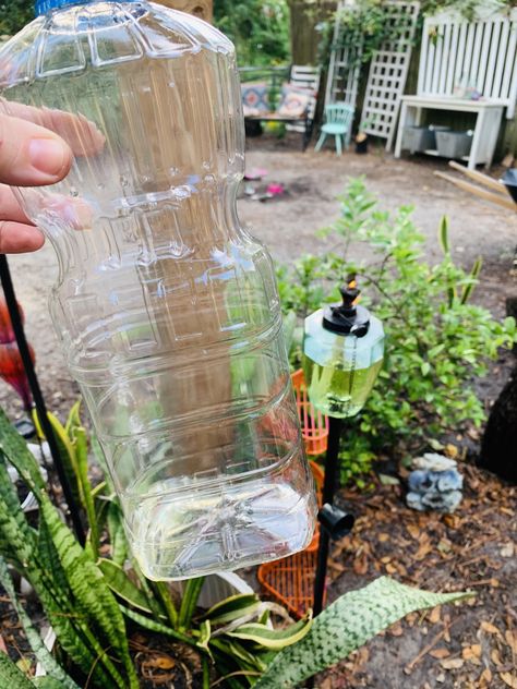 DIY Tiki Torch Fuel Using Vegetable Oil & Bug-Repelling Essential Oils - House & Homestead Diy Tiki Torch Fuel, Tiki Torches Backyard, Diy Tiki Torch, Torches Diy, Essential Oil Bug Repellent, Repellent Diy, Diy Citronella, Mosquito Repellent Homemade, Diy Mosquito Repellent