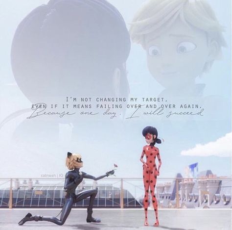 Ladybug Quotes, Adrien Miraculous, Ladybug Und Cat Noir, I Will Succeed, Marinette Ladybug, Tikki Y Plagg, Ladybug And Cat Noir, Ladybug Wallpaper, Miraculous Ladybug Oc