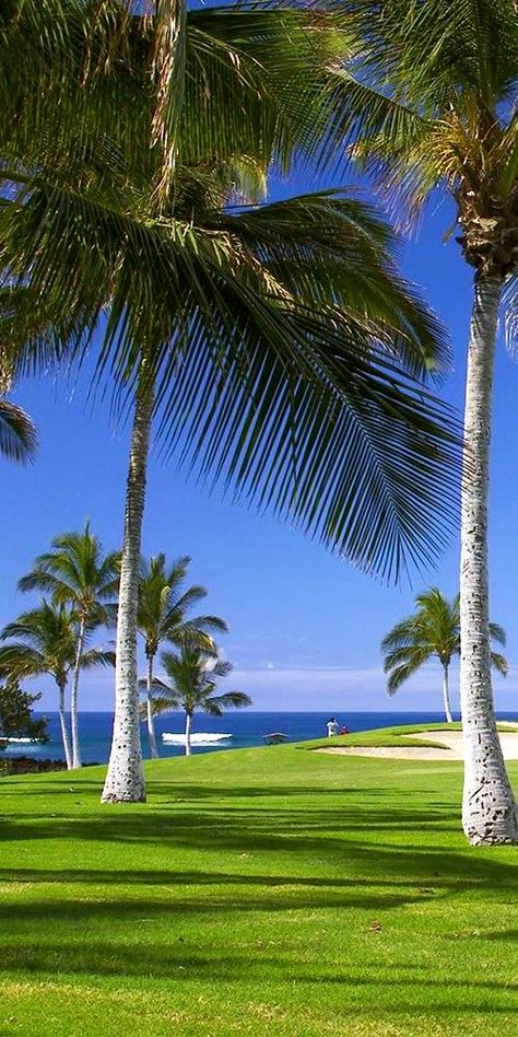 Teeing up on a gorgeous day at Waikoloa Beach Marriott Resort & Spa. ⛳🏌 --------------------- #hawaii #vacation #golf #golfing #travel #resort #getaway Hilton Waikoloa Village, Mauna Kea Beach Hotel, Moon Palace Cancun, Big Island Travel, Waikoloa Village, Wailea Beach, Golf Vacations, Marriott Resorts, Golf Trip