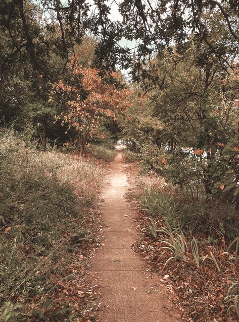 Nature, path, fall, autumn aesthetic Walking Path Aesthetic, Autumn Walk Aesthetic, Path Aesthetic, Dirt Roads Aesthetic, Nature Trail Aesthetic, Forest Path Aesthetic, Autumn Dog Walk Aesthetic, Fall Autumn Aesthetic, Walking Path