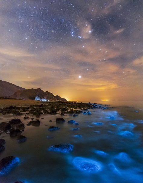 Bioluminescent Phytoplankton in the Persian Gulf and Orion Overhead Vaadhoo Island, Bioluminescent Plankton, Beautiful Night Sky, Persian Gulf, Destination Voyage, World Photography, Canon Photography, Love Is In The Air, Nature Images