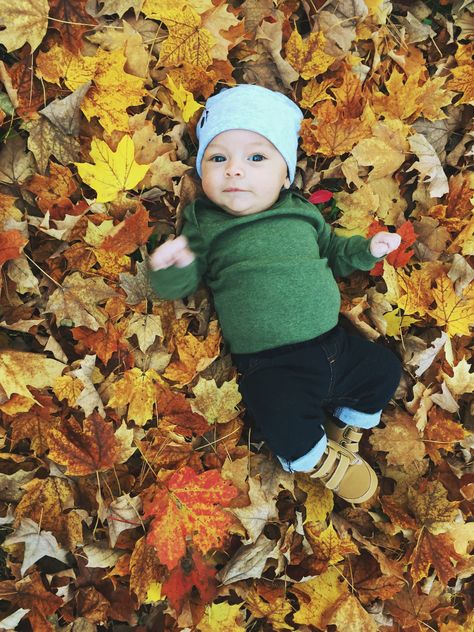 3 Month Old Fall Pictures, 4 Month Old Fall Pictures, Pumpkin Patch Newborn Pictures, 3 Month Fall Pictures, 6 Month Milestone Pictures Fall, Baby Boy Fall Pictures, November Baby Pictures Ideas, 6 Month Old Thanksgiving Pictures, Baby And Pumpkin Photo Ideas