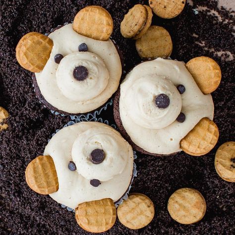 Design Of Cake, Baby Bear Birthday Party, Beary 1st Birthday, First Birthday Theme Boy, Teddy Bear Picnic Birthday Party, Teddy Bear Cupcakes, Beary First Birthday, Teddy Bear Birthday Party, Jenny Cookies