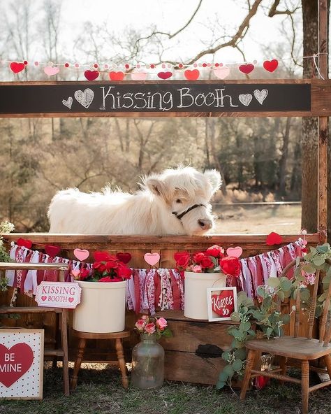 Western Photo Booth Ideas, Kissing Booth Valentines Day Photo Ideas, Kissing Booth Photoshoot, Farm Valentines, Ranch Retreat, Valentines Mini Session, Greenhouse Photography, Pumpkin Patch Business, Valentines Minis