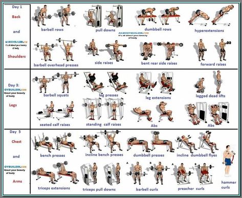 (ad) The Most Important Gym Routines for Men  1. Deadlift  2. Back squat  3. Bench Press  4. Dumbbell romanian deadlift  5. Kettlebell swing. 3 Day Workout Routine, Lean Muscle Workout, 3 Day Workout, Workout Plan For Men, Bodybuilding Program, Work Out Routines Gym, Gym Antrenmanları, Full Body Workouts, Full Body Workout Routine