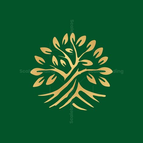 The concept of a tree logo with roots forming a circle with a unique and modern luxurious style. The logo is easy to remember and can be applied in various media. Protection Logo Design, Seed Logo Design, Oak Tree Logo, Tree Of Life Logo, Spiral Logo, Mother Tree, Dc Oc, Lion Flower, Logo Moodboard