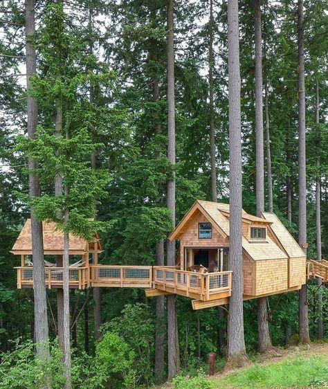 Luxury Tree Houses, Beautiful Tree Houses, Treehouse Masters, Tree House Plans, Tree House Diy, Cool Tree Houses, Tree House Designs, Tree Houses, Suspension Bridge