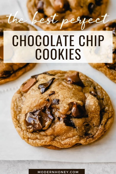 Honey Chocolate Chip Cookies, Soft Chocolate Chip Cookie Recipe, Gourmet Cookie Recipes, Soft Chocolate Chip Cookie, Soft Chocolate Chip Cookies Recipe, Baking Chocolate Chip Cookies, Gooey Desserts, Bakery Chocolate Chip Cookies, Modern Honey