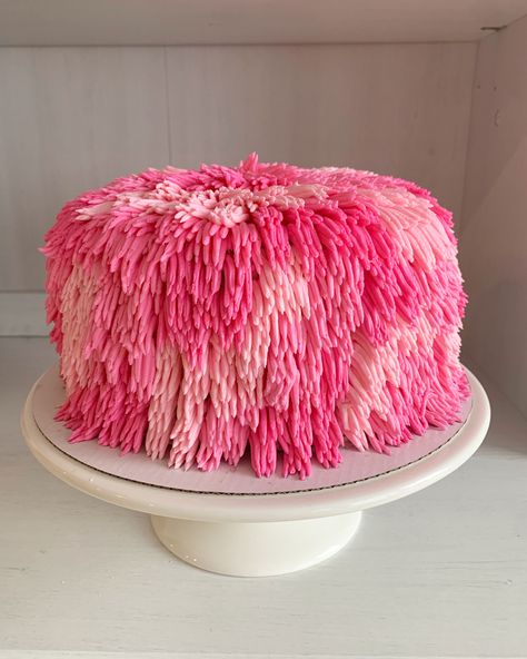 Shag Cake Ideas, Shag Cake, Hot Pink Cakes, Heart Birthday Cake, Barbie Birthday Cake, 16 Cake, Funny Birthday Cakes, Creative Birthday Cakes, Barbie Cake