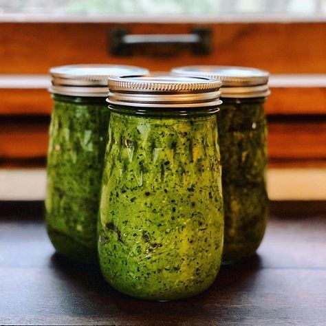 # recipes for Pesto that will help you use up (and enjoy!) the fall garden greens.  Photo by Christina How To Preserve Basil Pesto, Large Batch Basil Pesto, Sweet Basil Pesto Recipe, Canning Pesto, Basil Pesto With Sunflower Seeds, Basil Pine Nut Pesto, Meals For Three, Longmont Colorado, Kale Leaves