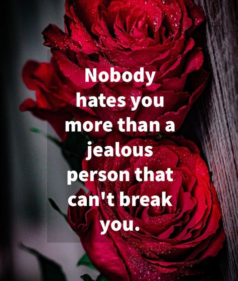 Nobody hates you more than a jealous person that can't break you. Not A Jealous Person Quotes, Jealous Sister Quotes, Not Jealous Quotes, Jealous Best Friend, Feeling Jealous Quotes, Feeling Inspired Quotes, Jealous People Quotes, Jealous Quotes, Jealous People