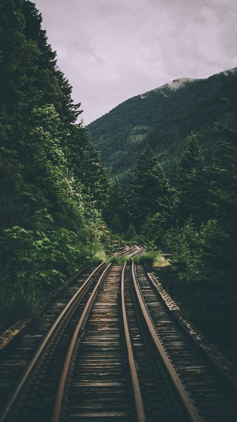 Rails #naturephotography Wallpaper Travel, Wallpaper Estetika, Dark Green Aesthetic, Slytherin Aesthetic, Old Train, Foto Tips, Alam Yang Indah, Computer Wallpaper, Nature Aesthetic