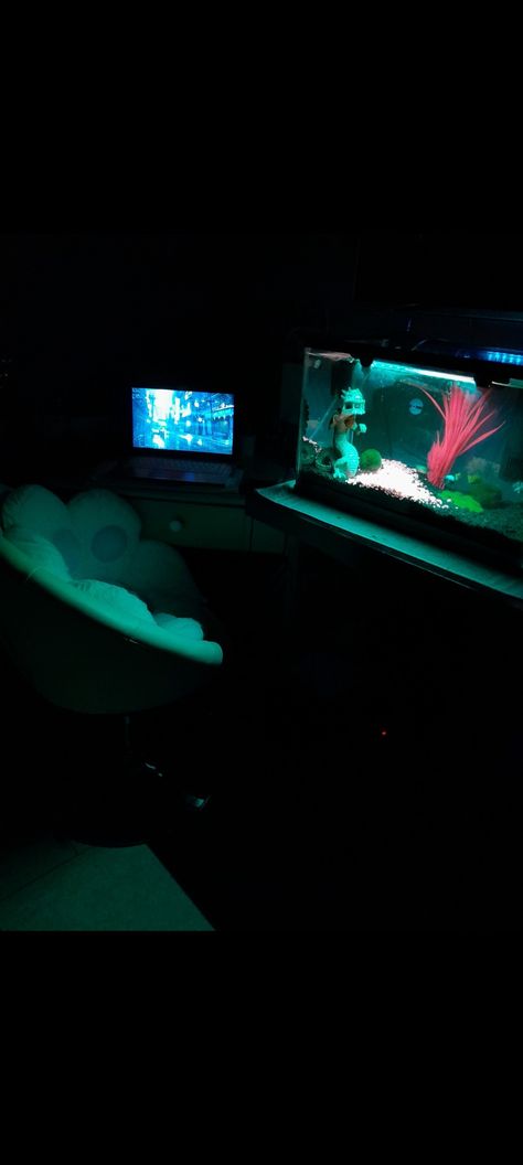 Glow Fish Tank, Dark Fish Tank, Fish Tank Night Light, Neon Aquarium, Neon Aquarium Aesthetic, Punk Room, Room At Night, Dark Aquarium Aesthetic, Fish Room