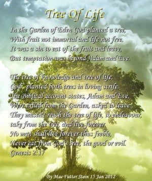 Family Tree Quotes Or Poems. QuotesGram Tree Of Life Quotes, Family Tree Quotes, My Family Tree, Tree Quotes, Family Poems, Quotes By Authors, Karma Quotes, Adam And Eve, Famous Quotes