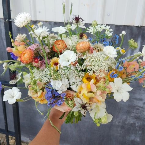 Early summer wildflower bouquet of strawflower, agrostemma, nigella, dianthus and snapdragon East Tennessee farmer florist Snapdragon Flowers Wedding, Strawflower Bouquet, June Wildflower Bouquet, Summer Wildflower Bouquet, Nigella Bouquet, Wedding Bouquets Snapdragons, Snapdragon Bouquet, Agrostemma Bouquet, Farmers Market Bouquet Cut Flowers