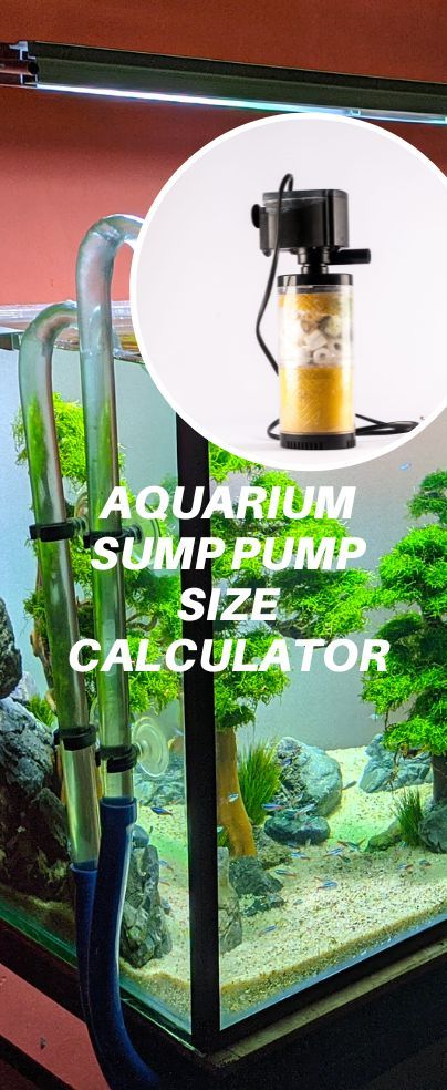 Sump pumps are a beneficial addition to saltwater aquariums. If you plan to get one, you will want to use an aquarium sump pump size calculator. This will help ensure that you get the right-sized sump pump for your fish tank. Aquarium Sump, Sump Tank, Saltwater Aquariums, Fish Tank Themes, Home Aquarium, Aquarium Filter, Two Fish, Sump Pump, Saltwater Aquarium