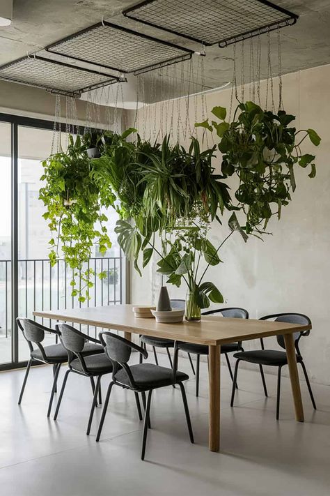 Hanging Plants Above Dining Table, Wall Plant Indoor Ideas, Plant Dining Room Aesthetic, Hanging Fake Plants Indoor, Hanging Plant Ideas Indoor, How To Hang Plants From Ceiling, Hanging Plants Indoor Ideas, Plant Wall Ideas Indoor, Hanging Ceiling Decor