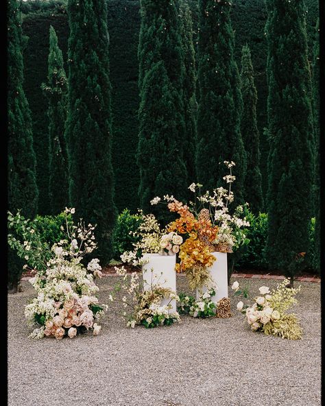 Creamy flowering dogwood, dried citrus and burnt orange cymbidium orchids ~ a statement brought to life with @rufflesandbells for Lindsey and Nigel’s beautiful ceremony 🍊so special having these details documented on film by @sirenaphotography_ • • • • • #nofloralfoam #foamfreeflowers #floralinstallation #ceremonyflowers #melbourneweddingflowers #melbourneweddingceremony #melbourneflorist #melbournewedding #australianflorist #weddingflowersmelbourne #melbournefloraldesigner #melbourneweddi... Orchid Installation, Tree Floral Installation, Green Cymbidium Orchids, Dried Citrus, Flowering Dogwood, Orange Cymbidium Orchid, Oncidium Orchid, Floral Work, Cymbidium Orchids