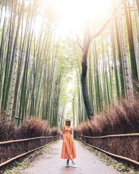 Bamboo Forest Japan, Arashiyama Bamboo Forest, Japan Photoshoot, Japan Travel Photography, Monument Architecture, Blogger Poses, Trip Photos, Bamboo Grove, Tokyo Japan Travel