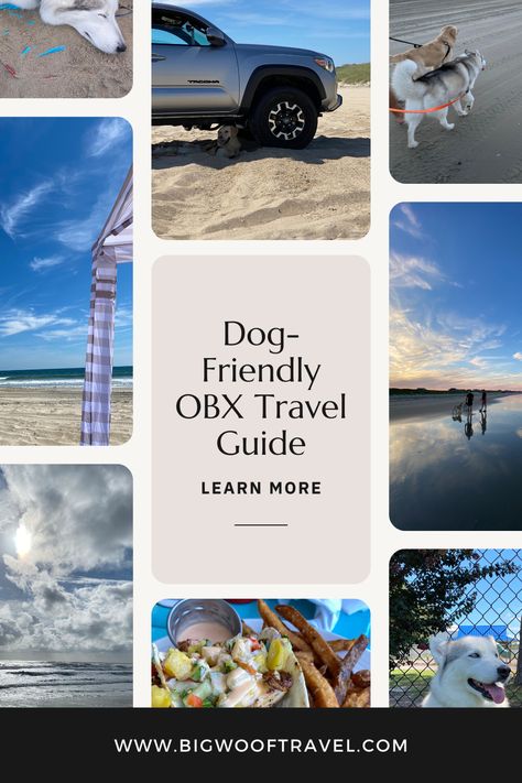 Get recommendations on dog-friendly beaches in the Outer Banks, plus our favorite spots to eat + drink! Woof Travel, Nc Travel, Carolina Dog, Dog Friendly Beach, Outer Banks Beach, Outer Banks North Carolina, South Carolina Beaches, Kitty Hawk, Outer Banks Nc