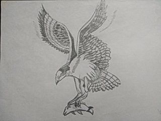 Fish Eagle Tattoo, Polish Eagle, Eagle Drawing, Eagle Claw, Fish Tattoo, Eagle Tattoo, Fish Drawings, An Eagle, Fish Tattoos