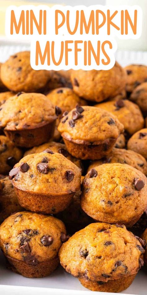 Pumpkin Bread Mini Muffins, Cinnamon Spice Pumpkin Mini Muffins, Skinnytaste Mini Pumpkin Chocolate Chip Muffins, Pumpkin Oat Mini Muffins, Mini Fall Desserts Treats, Muffin Recipes Mini, Pumpkin Muffins Mini, Mini Muffins Breakfast, Healthy Mini Pumpkin Muffins