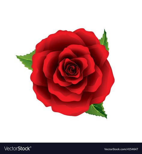 Rose Line Art, Rose Artwork, Rose Flower Photos, Dozen Red Roses, Abstract Rose, Rose Flower Arrangements, Red Rose Tattoo, Flower Print Top, Valentines Roses