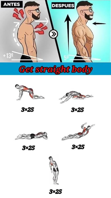 Easy Back Workout, Best Back Workout, Hand Workout, Posture Workout, Exercises With Dumbbells, Back Workout At Home, No Equipment Ab Workout, Good Back Workouts, Correct Posture