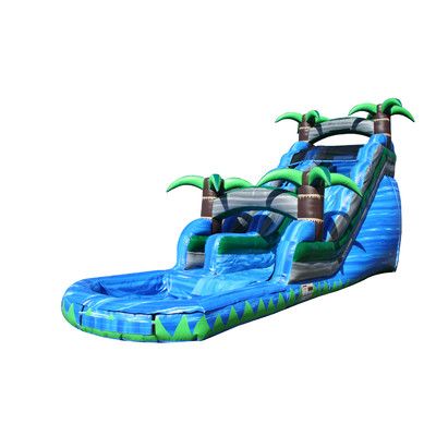 Kids Water Slide, Pool Water Slide, Backyard Water Parks, Water Slide Rentals, Moon Bounce, Bounce House With Slide, Inflatable Rentals, Backyard Trampoline, Bounce House Rentals