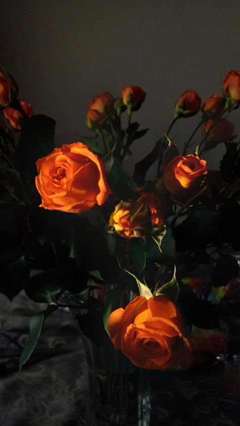 #Orange #Aesthetic #Roses #Photography #GoldenHour Edgy Orange Aesthetic, Orange Gothic Aesthetic, Grunge Orange Aesthetic, Red Orange Aesthetic Wallpaper, Orange Rose Aesthetic, Kyra Core Aesthetic, Orange And Black Aesthetic Dark, Orange Flowers Aesthetic Wallpaper, Orange Asthetics Photos