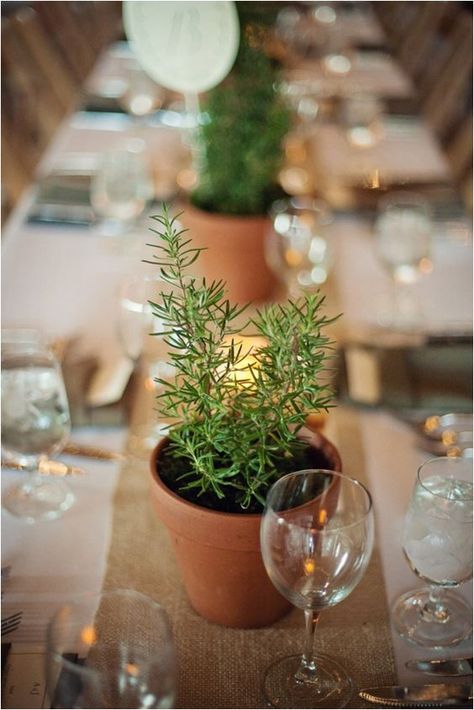 rustic potted plants wedding table decor / http://www.himisspuff.com/potted-plants-wedding-decor-ideas/10/ Herb Centerpieces, Thanksgiving Dinner Table Decorations, Herb Wedding, Plant Centerpieces, Baby Shower Decorations Neutral, Rustic Centerpiece, Thanksgiving Dinner Table, Tafel Decor, Plant Table