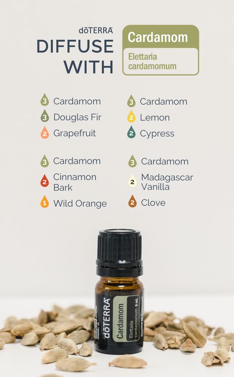 Cardamom Essential Oil Diffuser Blends, Cardamom Essential Oil Blends, Cardamom Essential Oil, Doterra Diffuser, Holistic Recipes, Doterra Diffuser Blends, Essential Oil Combinations, Doterra Essential Oils Recipes, Essential Oil Diffuser Blends Recipes