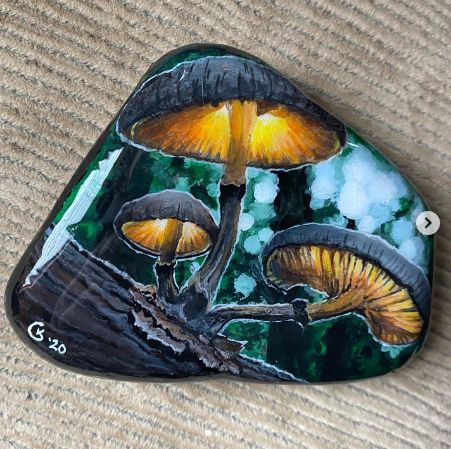 Rock Mushrooms, Diy Rock Art, Art Rock, Painted Rocks Diy, Rock Painting Patterns, Gnomes Crafts, Fairy Houses, Rock Crafts, Stone Art