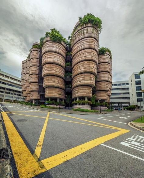 architecturealliance: The Hive at NTU Singapore (Photo by Jeremy Hui) | THE FUTURE IS NOW | #2GETHER | #love #beautiful #digitalart #photography #happy #people #history #u2dy #art #life #visuals #design #illustrations #follow #f4f #united #social #growth #positivity #mindset | INSPIRED BY THE TRAITS OF HUMANITY | Ntu Singapore, Positivity Mindset, Singapore Photos, Digital Imaging, Design Illustrations, The Future Is Now, The Hive, Art Life, Happy People