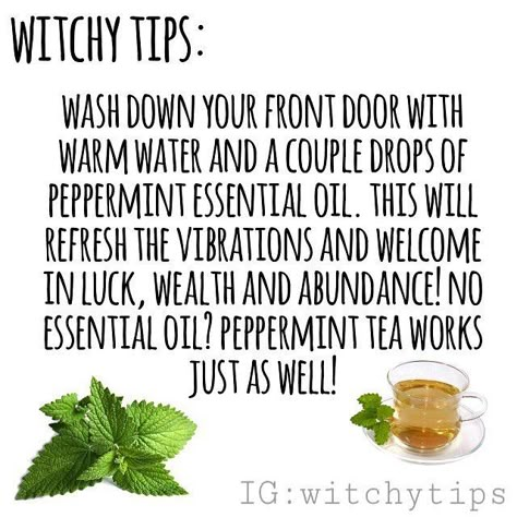 Tips for Witches Everywhere! ✨ on Instagram: “Easy witchy tip for adding magick into some spring cleaning! Alternatively, match the essential oils with your purpose! Use sandalwood…” Witch Meditation, Magickal Tips, Witch Tips, Magick Spells, Wiccan Witch, Eclectic Witch, Wiccan Spell Book, Witchcraft For Beginners, Herbal Magic