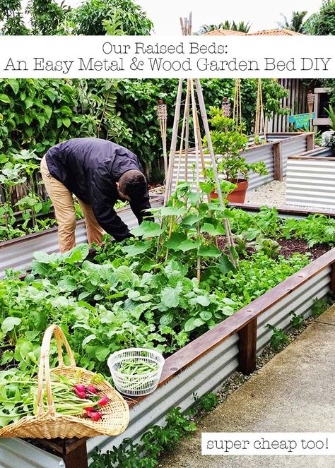 DIY Garden Bed Ideas - The Idea Room Wood Garden Beds, Cheap Raised Garden Beds, Metal Garden Beds, Beds Diy, Diy Garden Bed, Vegetable Garden Raised Beds, Vertical Vegetable Garden, Building A Raised Garden, Diy Raised Garden