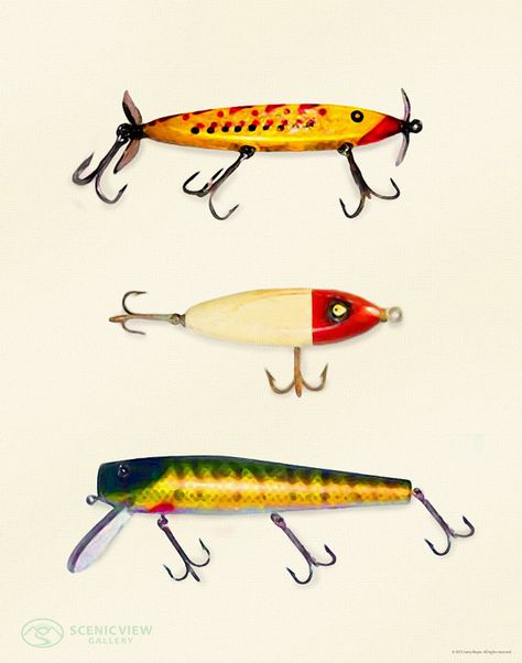 Lure Of Fishing 8 x 10 painted fishing lures by ScenicViewGallery, $45.00 Fishing Lures Art, Fish Paintings, Antique Fishing Lures, Fish Theme, Fish Bait, Vintage Fishing Lures, Fishing Bobber, Art Fish, Lure Making